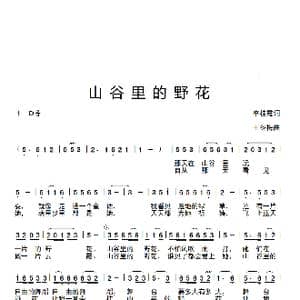 山谷里的野花_歌曲简谱_词曲:李桂霞 王冬梅