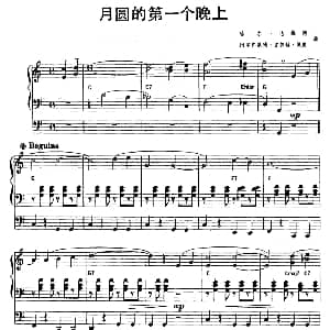 电子琴谱 | 月圆的第一个晚上 双排键电子琴 哈尔 达维德 阿尔弗莱德 吉鲁赫 佩里