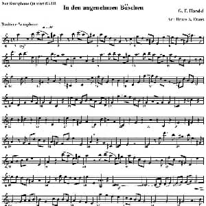 萨克斯谱 | In den angenehmen Buschen 四重奏 上低音萨克斯分谱