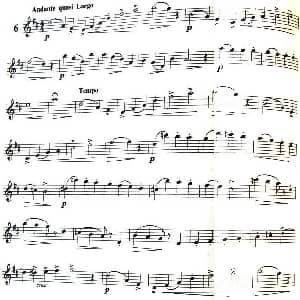 长笛曲谱 | 三十首小练习曲作品120号 NO.6 Garibold 加里波第