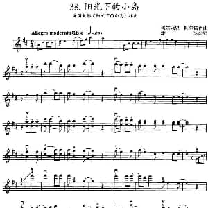 小提琴谱 | 阳光下的小岛 美国电影 阳光下的小岛 插曲 玛尔康恩 阿尔诺德曲 雄达改编