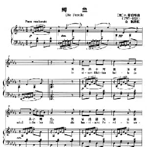 鳟鱼 奥地利 _外国歌谱_词曲: 奥 F 舒伯特