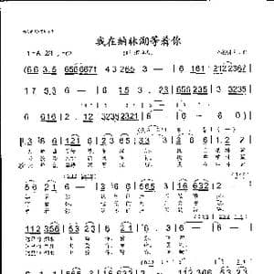 我在纳林湖等着你_歌曲简谱_词曲:孙德明 孙德明