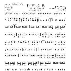 拉兹之歌_歌曲简谱_词曲:赛•塞兰特拉 拉维•香卡 扎伊吉尚