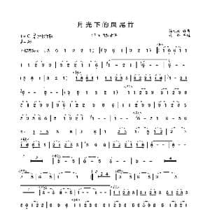 月光下的凤尾竹_歌谱投稿_词曲: 施光南