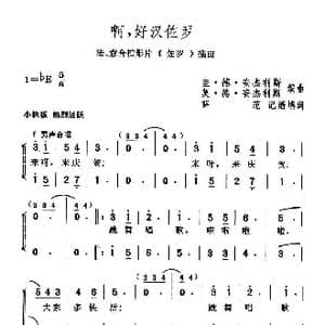 啊 好汉佐罗_歌谱投稿