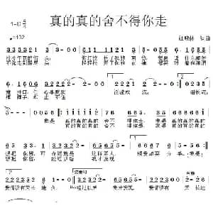 真的真的舍不得你走_通俗唱法乐谱_词曲:王晓林 王晓林