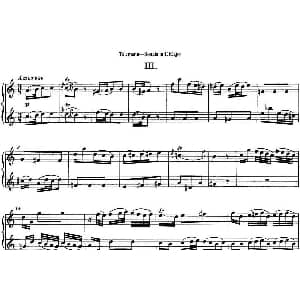 长笛曲谱 | 台莱曼E大调双长笛奏鸣曲 No.3 Telemann 台莱曼