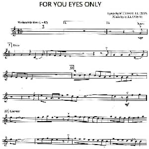 小提琴谱 | FOR YOU EYES ONLY