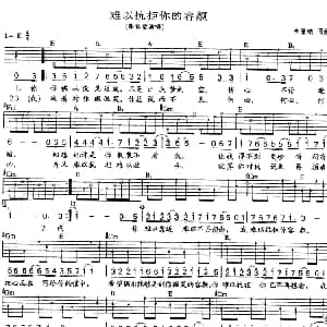 难以抗拒你的容颜 吉他谱 张信哲 林隆璇 林隆璇