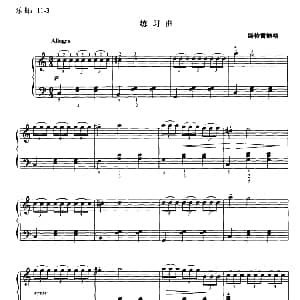 斯特雷鲍格练习曲 钢琴谱 斯特雷鲍格