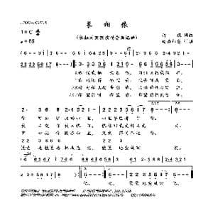 长相依_歌曲简谱_词曲:许琛 许琛