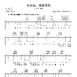 对不起 我还爱你 吉他谱 回音哥 张雯杰 张雯杰