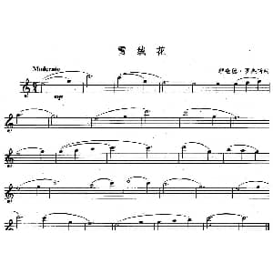 长笛曲谱 | 雪绒花 3个版本 美 罗杰斯