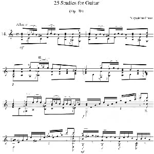 Napoleon Coste 25 Studies,Op.38 吉他谱