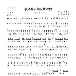 后来我去北京找过你_歌曲简谱_词曲:王韩 李风持