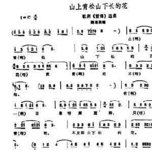 山上青松山下长的花_民歌简谱_词曲:田川 罗宗贤