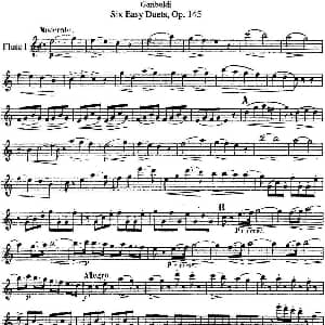长笛曲谱 | 六首简易二重奏作品145号 Garibold 加里波第