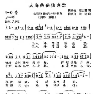 人海茫茫独逢君_通俗唱法乐谱_词曲:田逢俊 陶嘉舟