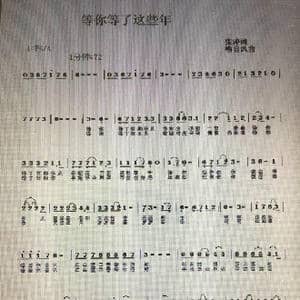 等你等了这些年_歌谱投稿_词曲:张涛 喻自凤