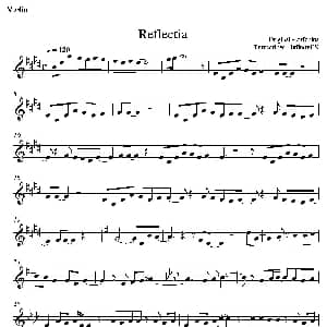 小提琴谱 | Reflectia 真实之泪