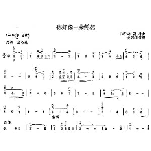 二胡谱 | 你好像一朵鲜花