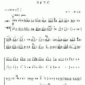 二胡谱 | 神童写意 二重奏 张飞龙 张建国改编