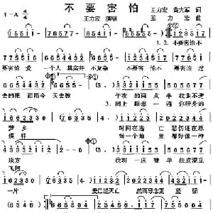不要害怕_通俗唱法乐谱_词曲:王力宏 黄大军 王力宏