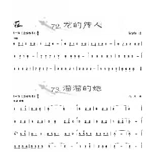 葫芦丝谱 | 葫芦丝曲精选 龙的传人 溜溜的她 王甲坤 王甲华编著