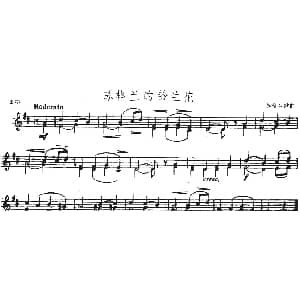 小提琴谱 | 苏格兰的铃兰花 重奏