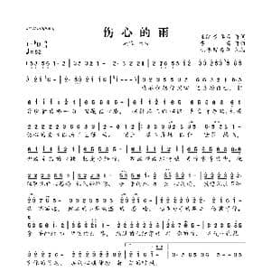 伤心的雨_歌曲简谱_词曲:王红彬 李青 李青