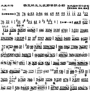 京剧谱 | 杨玉环生至在那华阴小郡 太真外传 选段 琴谱 魏海敏