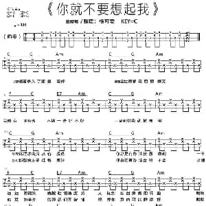 你就不要想起我 吉他谱 田馥甄