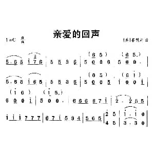亲爱的回声 竖笛谱 美 菲利斯