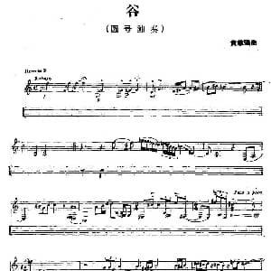 谷 圆号 黄维强