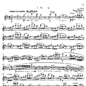 长笛曲谱 | 中高级练习 连奏与清晰吹奏练习 乐曲部分 快板 K 库默尔