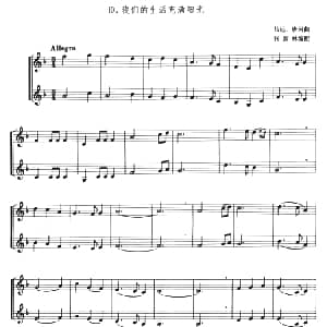 我们的生活充满阳光 小号二重奏 张新林