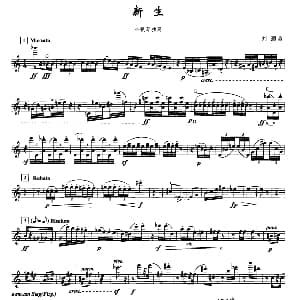 小提琴谱 | 新生 刘灏