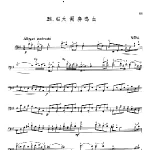 瓦蒂尼G大调奏鸣曲 大提琴 瓦蒂尼