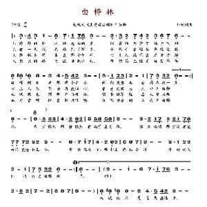 白桦林_歌谱投稿_词曲:朴树 朴树