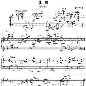 苏醒 钢琴谱 薛花明
