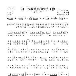 这一次我是真的失去了你_歌曲简谱