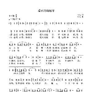 看不到的远方_歌曲简谱_词曲:袁龙 袁龙