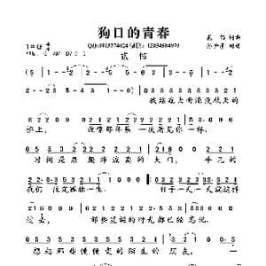 狗日的青春_歌曲简谱_词曲:贰佰 贰佰