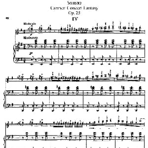 小提琴谱 | Carmen Concert Fantast Op.25 Ⅳ 小提琴 钢琴伴奏 Sarasate 萨拉萨蒂