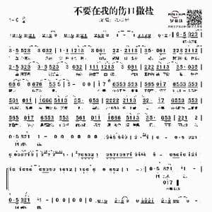 不要在我的伤口撒盐_歌谱投稿_词曲:林华勇 林华勇