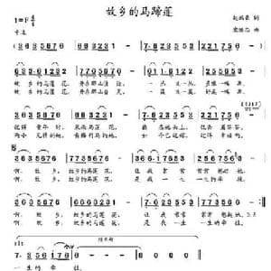故乡的马蹄莲_民歌简谱_词曲:赵鹏豪 党继志