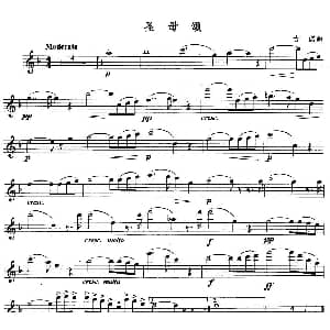 长笛曲谱 | 圣母颂 古诺作曲版 古诺