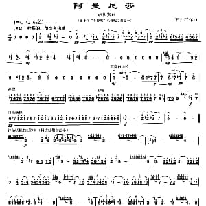 二胡谱 | 阿曼尼莎 王丹红