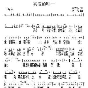 真爱的唯一_歌曲简谱_词曲:佟文西 复名
